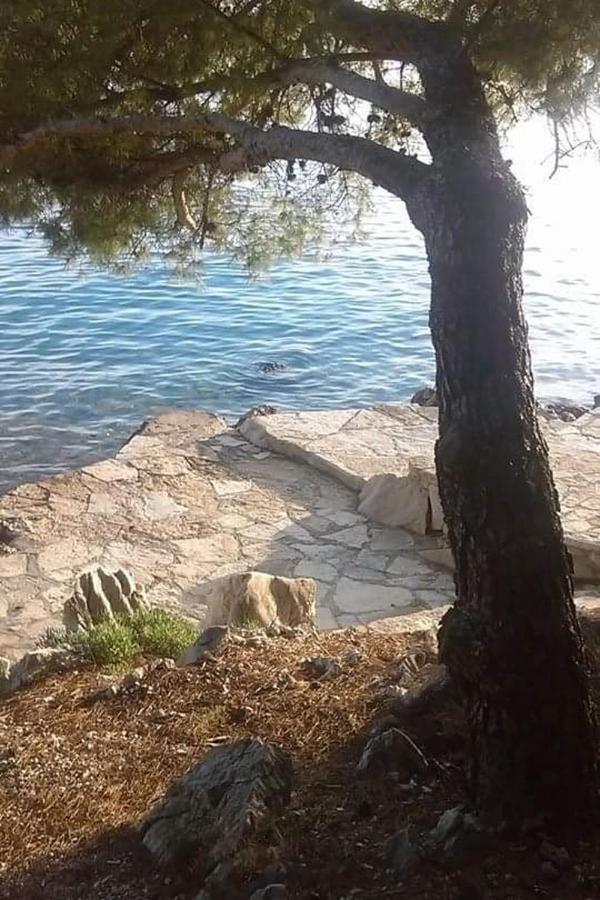 Apartments By The Sea Drage, Biograd - 19189 باكوشتاني المظهر الخارجي الصورة